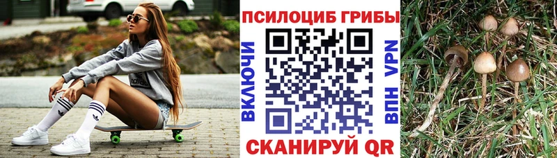 даркнет телеграм  наркотики  Пересвет  Псилоцибиновые грибы мицелий 